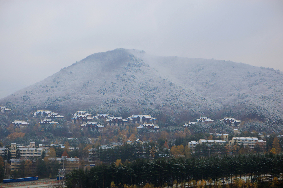 [첫눈 소식]용평리조트 새하얀 겨울세상으로~ 관련 이미지
