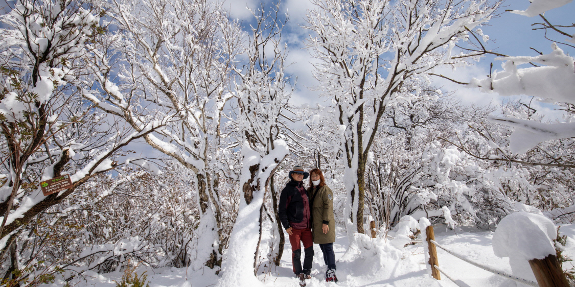 발왕산 폭설 _  발왕산 모나파크 용평 포토스케치.배장 2122 10편 관련 이미지