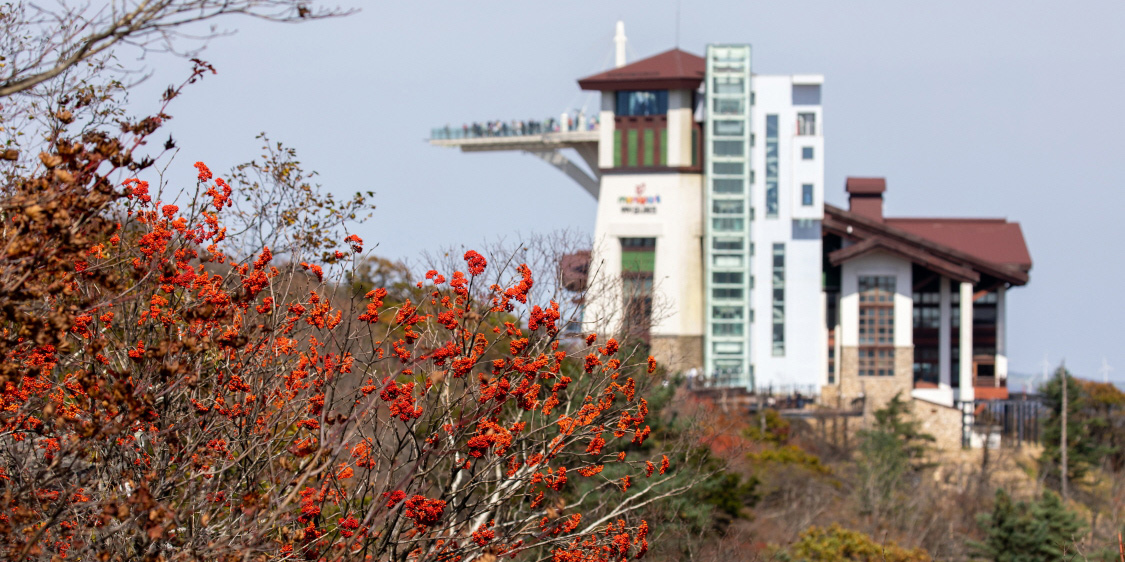 발왕산 단풍 콘서트 _ 발왕산 모나파크 용평포토스케치. 배장 2122 65편 관련 이미지