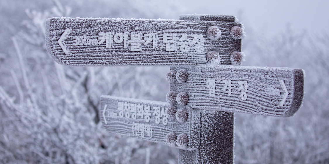 겨울로 변해버린 발왕산 _ 발왕산 모나파크 용평 포토스케치. 배장 2122 84편 관련 이미지