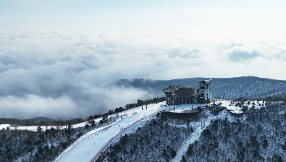 [발왕산 서밋랜드] 산꼭대기 구름의 바다, 운해 관련 이미지