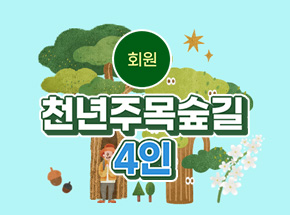 패키지 상품 이미지