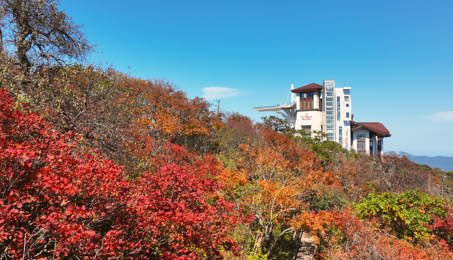 곧 발왕산에 가을이 오겠습니다. 관련 이미지