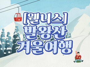 패키지 상품 이미지