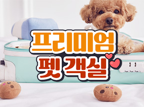 패키지 상품 이미지