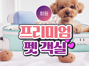 패키지 상품 이미지