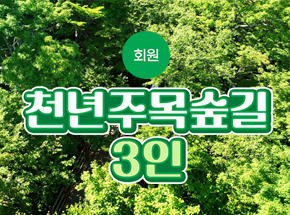 패키지 상품 이미지