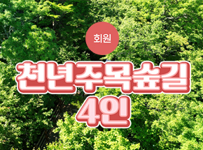 패키지 상품 이미지