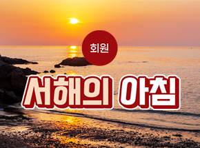 패키지 상품 이미지