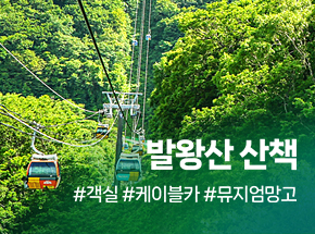 패키지 상품 이미지