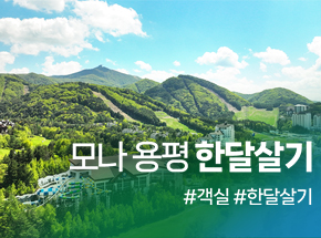 패키지 상품 이미지