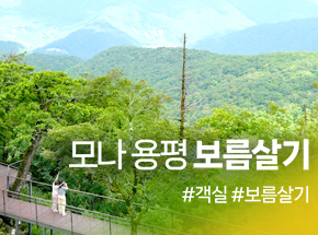 패키지 상품 이미지