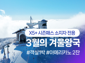 패키지 상품 이미지