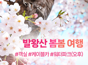 패키지 상품 이미지