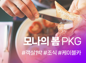 패키지 상품 이미지