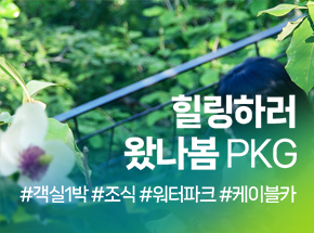 패키지 상품 이미지