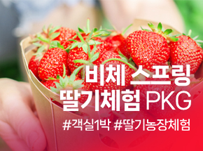패키지 상품 이미지
