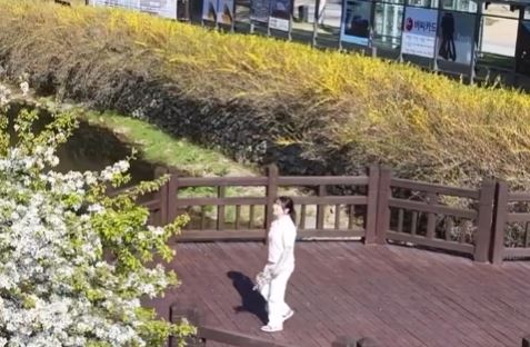 [모나 용평 풍경] 겨울에서 봄으로 관련 이미지