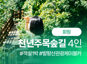 패키지 상품 이미지