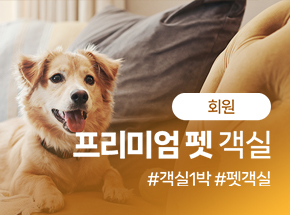 [회원] 프리미엄 펫 객실 관련 이미지