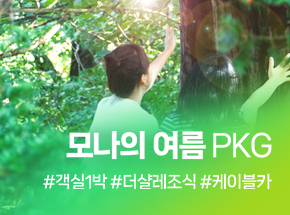 모나의 여름 PKG 관련 이미지