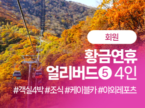 패키지 상품 이미지