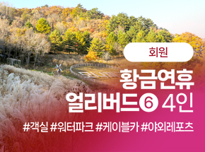 패키지 상품 이미지