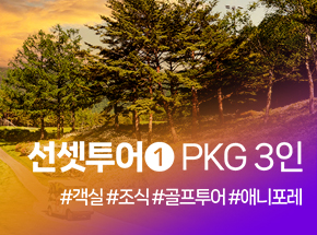 패키지 상품 이미지
