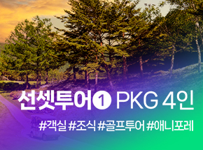 패키지 상품 이미지