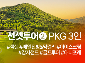 패키지 상품 이미지