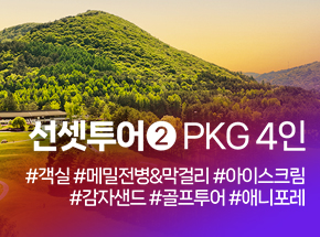패키지 상품 이미지