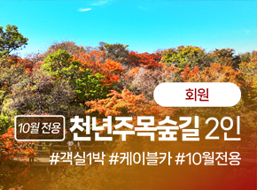 패키지 상품 이미지