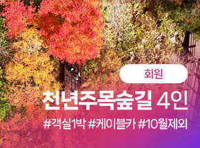 패키지 상품 이미지