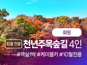 패키지 상품 이미지