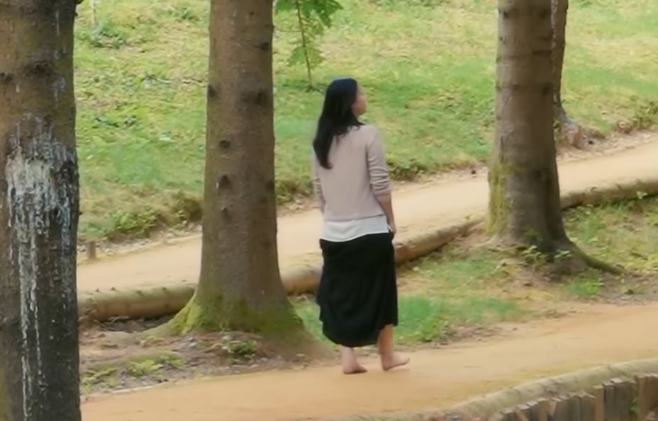 [애니포레] 애니포레에서 꼭 해야 할 8가지 관련 이미지