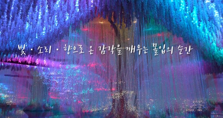 [이나트] 나를 찾아온 빛의 예술, 초대형 미디어아트 전시관 관련 이미지