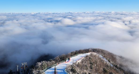 [발왕산 풍경] 크리스마스 이브의 운해 관련 이미지
