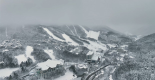 폭설 40cm, 하얀 설국으로 변한 모나용평 관련 이미지