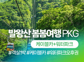 발왕산 봄봄여행(케이블카+워터파크)PKG 관련 이미지
