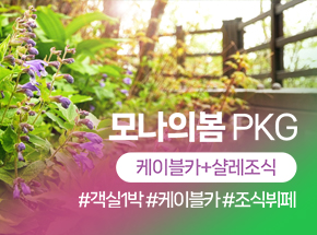 모나의봄 관련 이미지