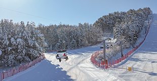 폭설 60cm가 만든 설경, 완벽한 스프링 시즌의 모나용평 관련 이미지