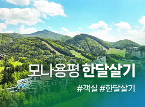 모나용평 한달살기 관련 이미지