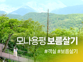 모나용평 보름살기 관련 이미지