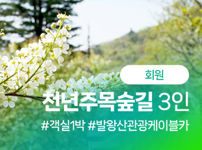 패키지 상품 이미지