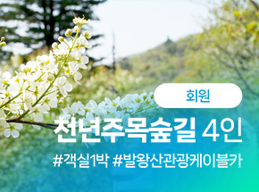 패키지 상품 이미지