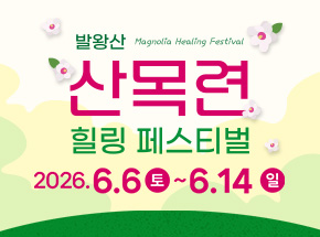 2026 발왕산 산목련 힐링 페스티벌 관련 이미지