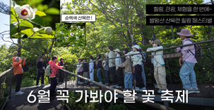 [모나용평 행사] 발왕산 산목련 힐링 페스티벌 스케치 관련 이미지