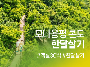 모나용평 콘도 한달살기 관련 이미지