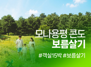 모나용평 콘도 보름살기 관련 이미지