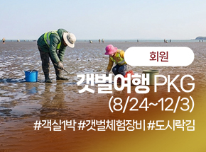 [회원]갯벌여행(8/24~12/3) 관련 이미지